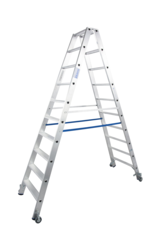 Nauwkeurig plakboek Schijnen Krause Ladder op wielen | UDOBÄR