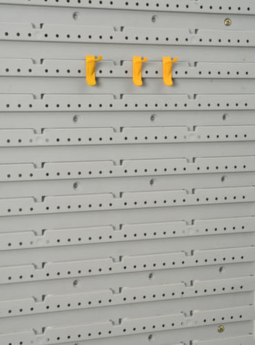 Allit Hakenassortiment StorePlus Flex P 30+40 met 16 haken