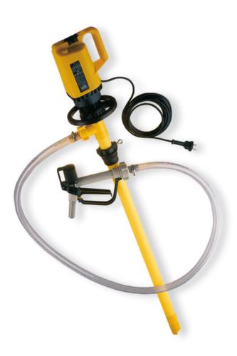 Lutz Elektrische vatpomp voor logen