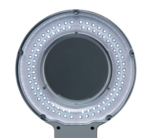 MAUL LED-loeplamp MAULviso met ronde kop, licht koudwit (daglichtwit), wit