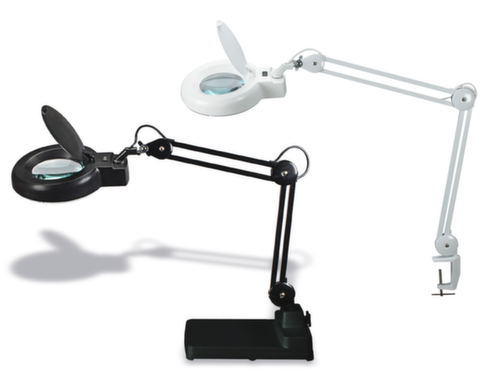 MAUL LED-loeplamp MAULviso met ronde kop, licht koudwit (daglichtwit), wit