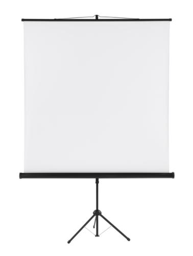 Franken Projectiescherm met statief