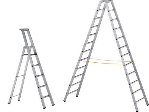 ZARGES Industriële ladder Z600