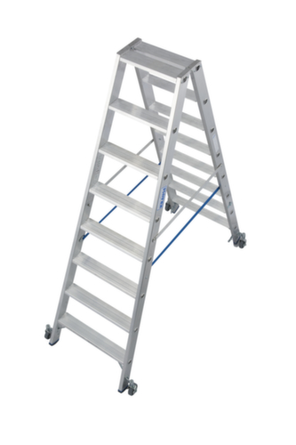 Krause Ladder op wielen
