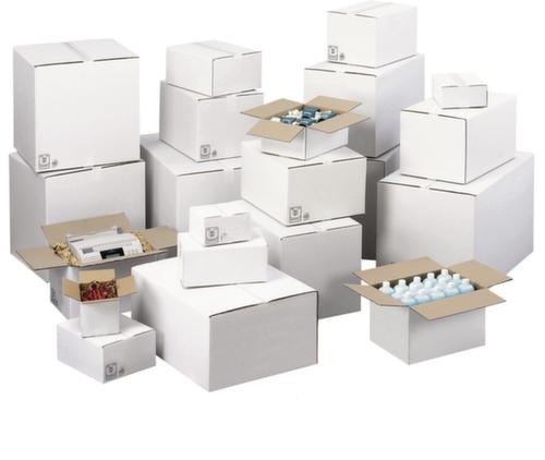 Witte golfkartonnen vouwdoos met 20 kg draagvermogen