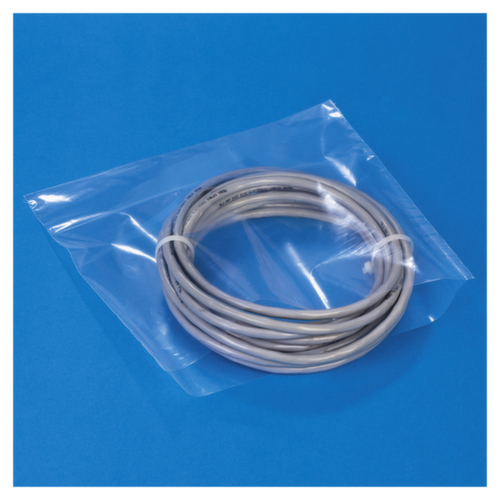 Plat zakje 100 µm dik, 50 µm, lengte x breedte 800 x 500 mm