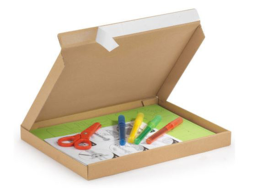 Platte verzenddoos met zelfklevende sluiting, enkelvoudige golf, 305 x 220 x 25 mm