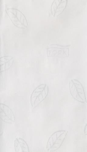 Tork Grote rollen toiletpapier, tweelaags, tissue