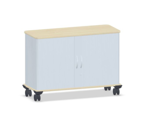 Gera Jaloeziedeurkast Pro, 1,5 ordnerhoogten