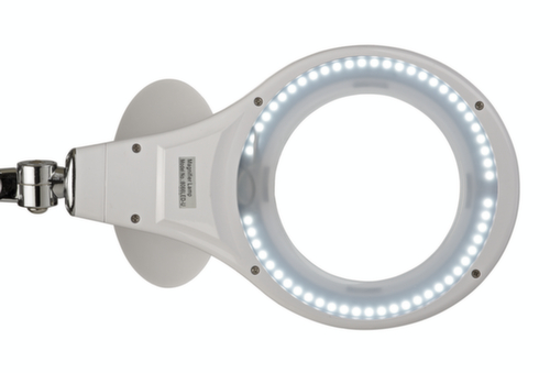 MAUL Elegante LED-loeplamp MAULmakro, licht koudwit (daglichtwit), wit