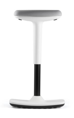 Dauphin Draaibare kruk to-swift met frame met schotelvoet