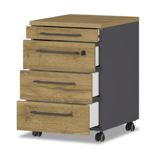 Dossierkast GW-AGENDA