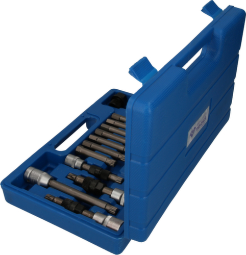 Alternator bit en dopsleutelset