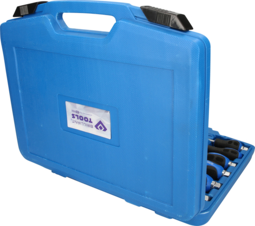 Schroevendraaierset met slagdop