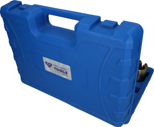 Achteras Longitudinal Link Bushing Tool Set