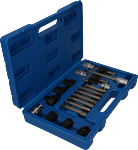 Alternator bit en dopsleutelset