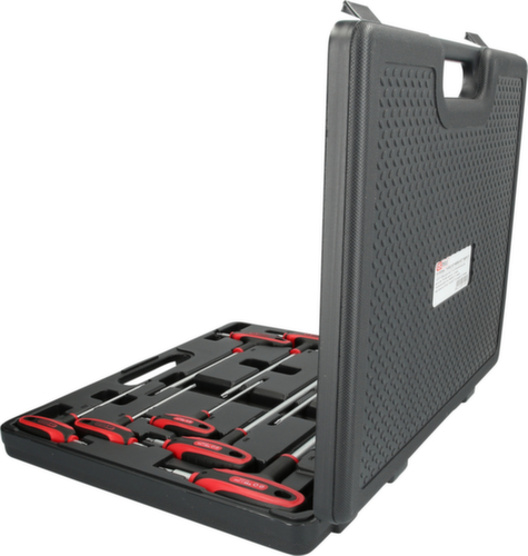 Torx steeksleutelset met boring