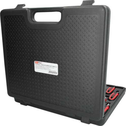 Torx steeksleutelset met boring