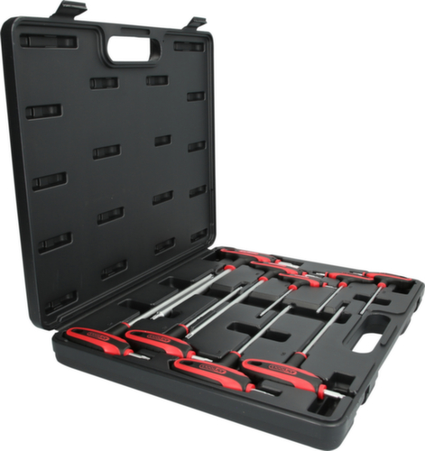 Torx steeksleutelset met boring