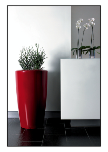 plantenzuil degardo® ROVIO IV