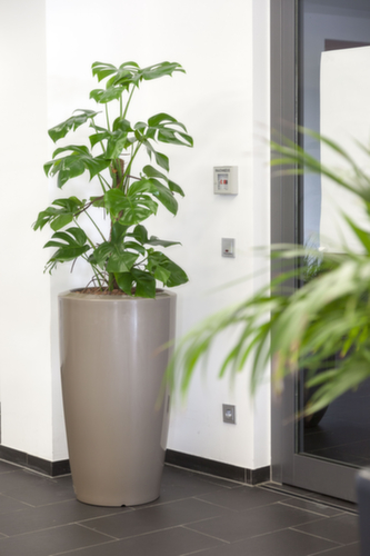 plantenzuil degardo® ROVIO IV