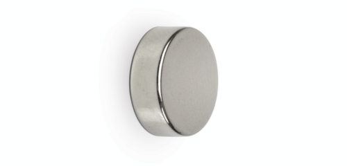 schijfmagneet