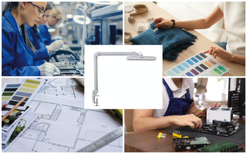 MAUL compacte LED-werkpleklamp MAULintro dimbaar, licht koudwit (daglichtwit), wit