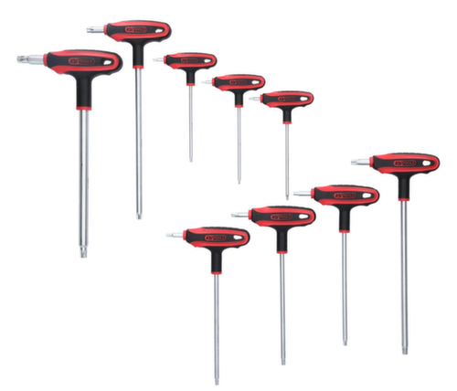 Torx steeksleutelset met boring