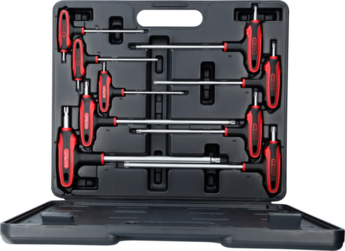 Torx steeksleutelset met boring