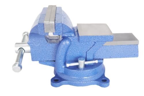 UDOBÄR Parallelle bankschroef, spanwijdte 110 mm