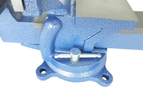 UDOBÄR Parallelle bankschroef, spanwijdte 110 mm