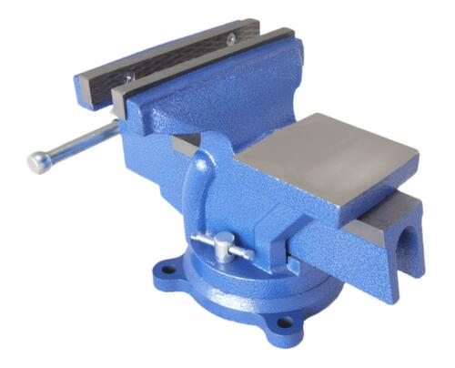 UDOBÄR Parallelle bankschroef, spanwijdte 110 mm