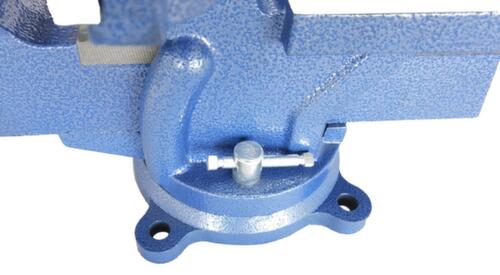 UDOBÄR Parallelle bankschroef, spanwijdte 110 mm