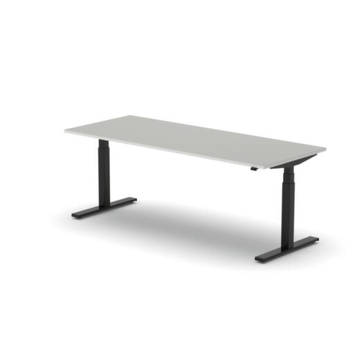 Nowy Styl Elektrisch in hoogte verstelbaar bureau eModel 3.0
