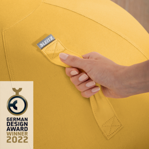 Leitz Zitbal Ergo Cosy