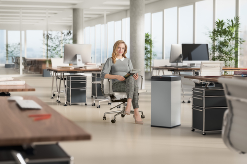 Hailo Afvalbak Big-Box Swing XL met zelfsluitend tuimeldeksel, 52 l, zilverkleurig