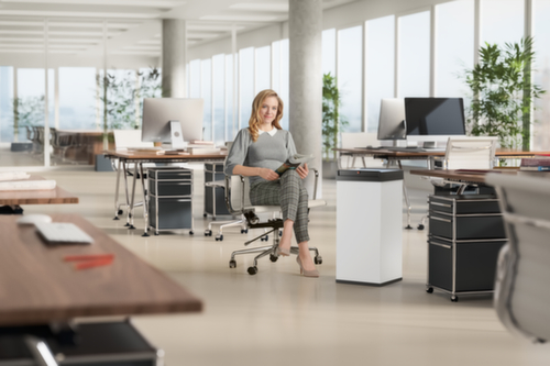 Hailo Afvalbak Big-Box Swing XL met zelfsluitend tuimeldeksel, 52 l, wit