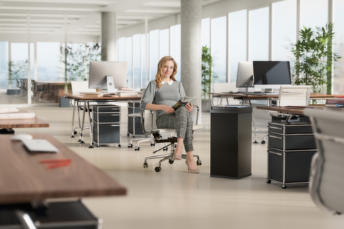 Hailo Afvalbak Big-Box Swing XL met zelfsluitend tuimeldeksel, 52 l, zwart