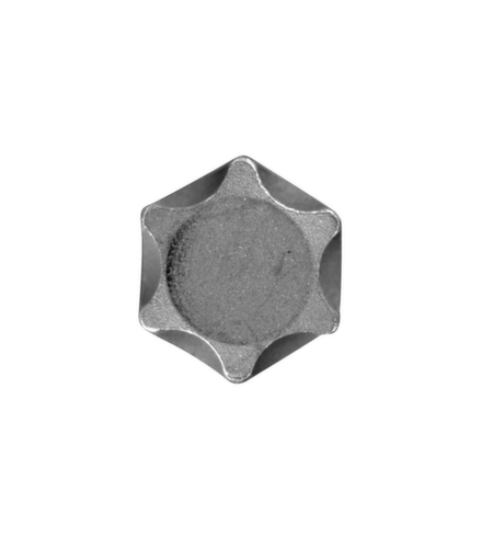 R62452219 Schroevendraaierbit 1/2" TX T55 Lengte 100 mm