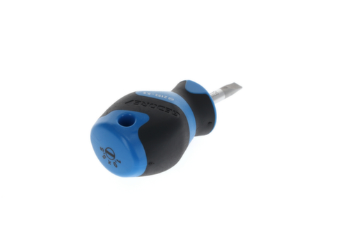 2153 5.5 Schroevendraaier