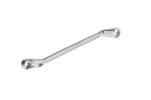 R01101617 Dubbele ringsleutel SW16x17 mm 246 mm