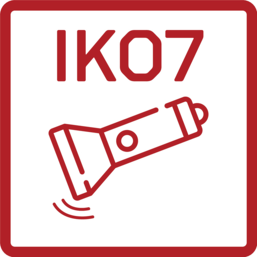 R95700089 Mini werklamp