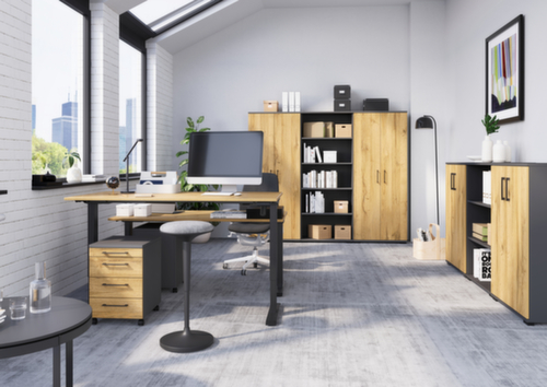 Elektrisch in hoogte verstelbaar bureau GW-PROFI 3.0 8023