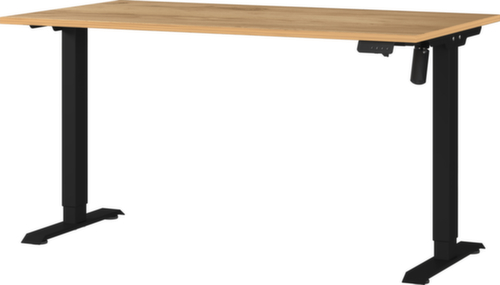 Elektrisch in hoogte verstelbaar bureau GW-PROFI 3.0 8023