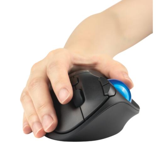 Kensington trackball-pc-muis ProFit