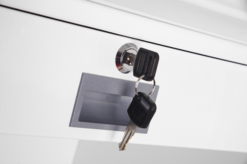 Phoenix Safe Brandwerende kluis Data Combi