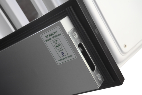 Phoenix Safe Brandwerende kluis Data Combi