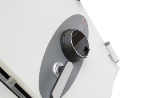 Phoenix Safe Brandwerende kluis Data Combi