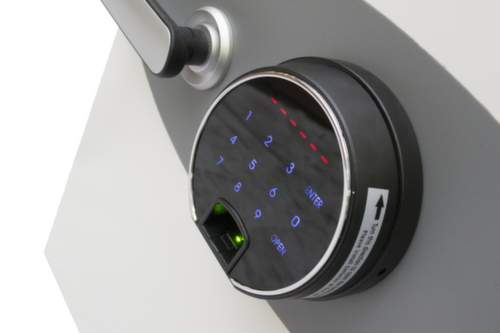 Phoenix Safe Brandwerende kluis Data Combi