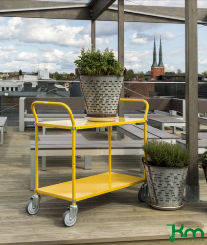 Kongamek Etagewagen 900x440 mm, draagvermogen 250 kg, 2 etages